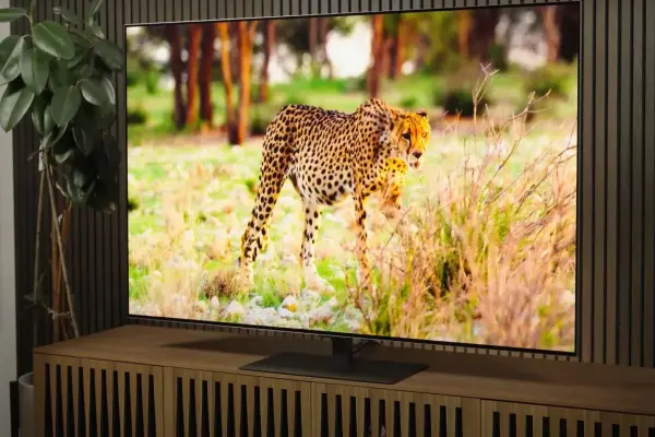 TV OLED là gì? Giải thích về công nghệ hiển thị cao cấp